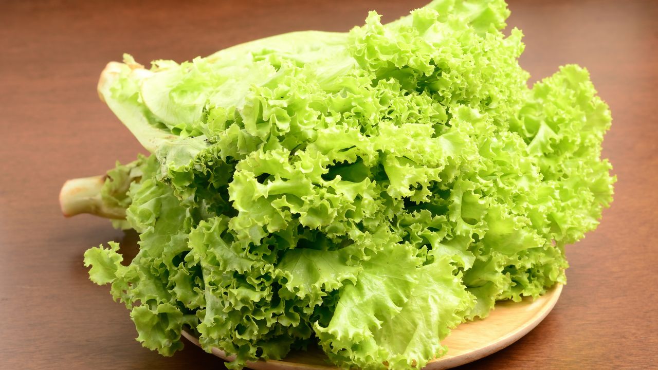 Lettuce 