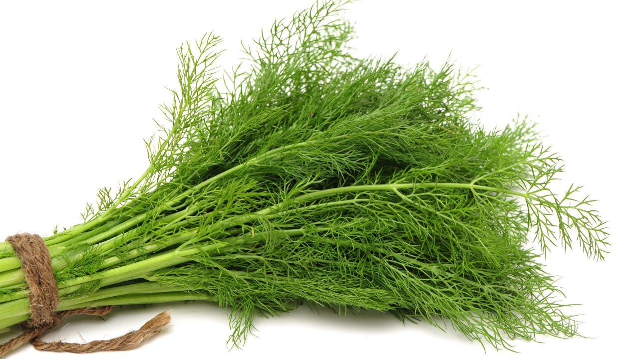 6 Substitutes For Dill