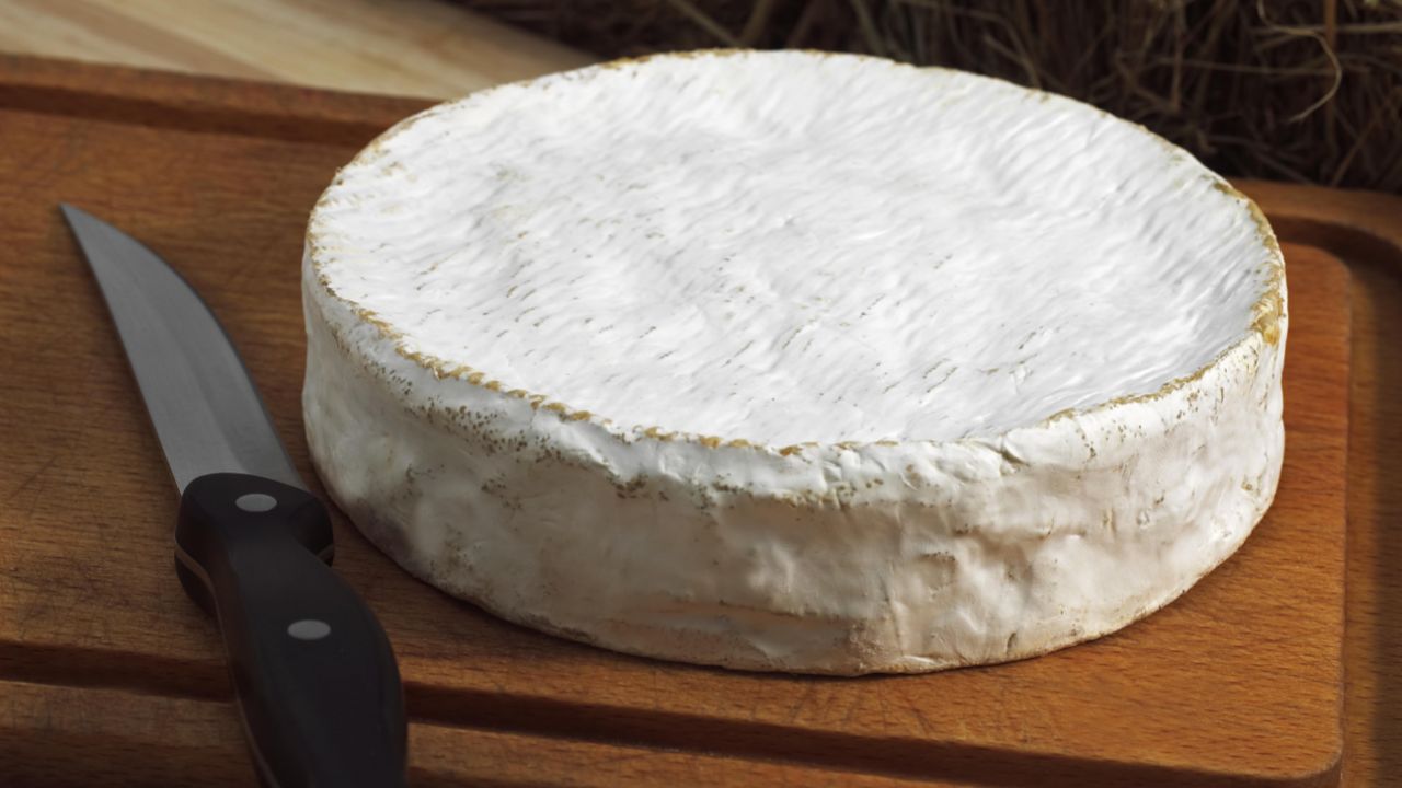 Coulommiers Cheese 