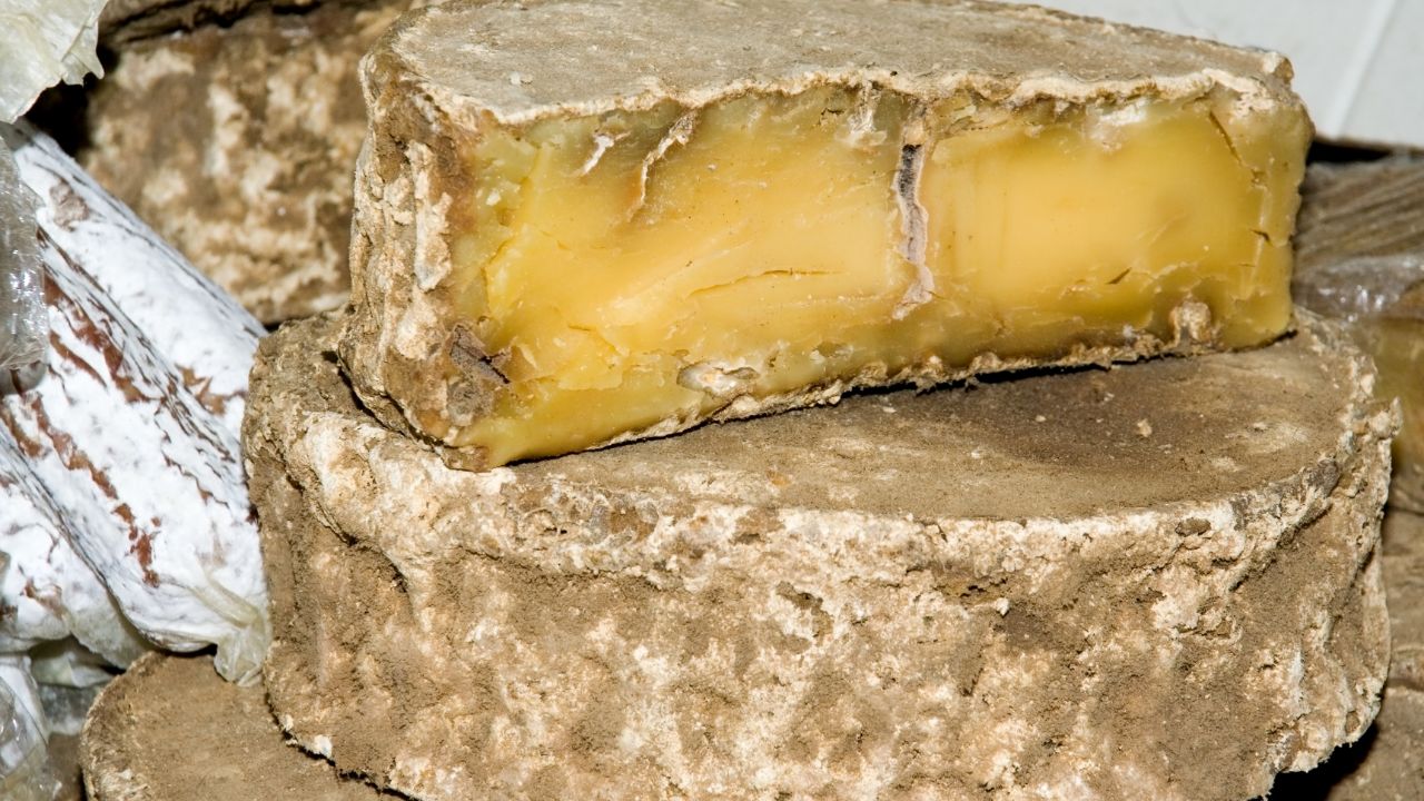 Toma Cheese 