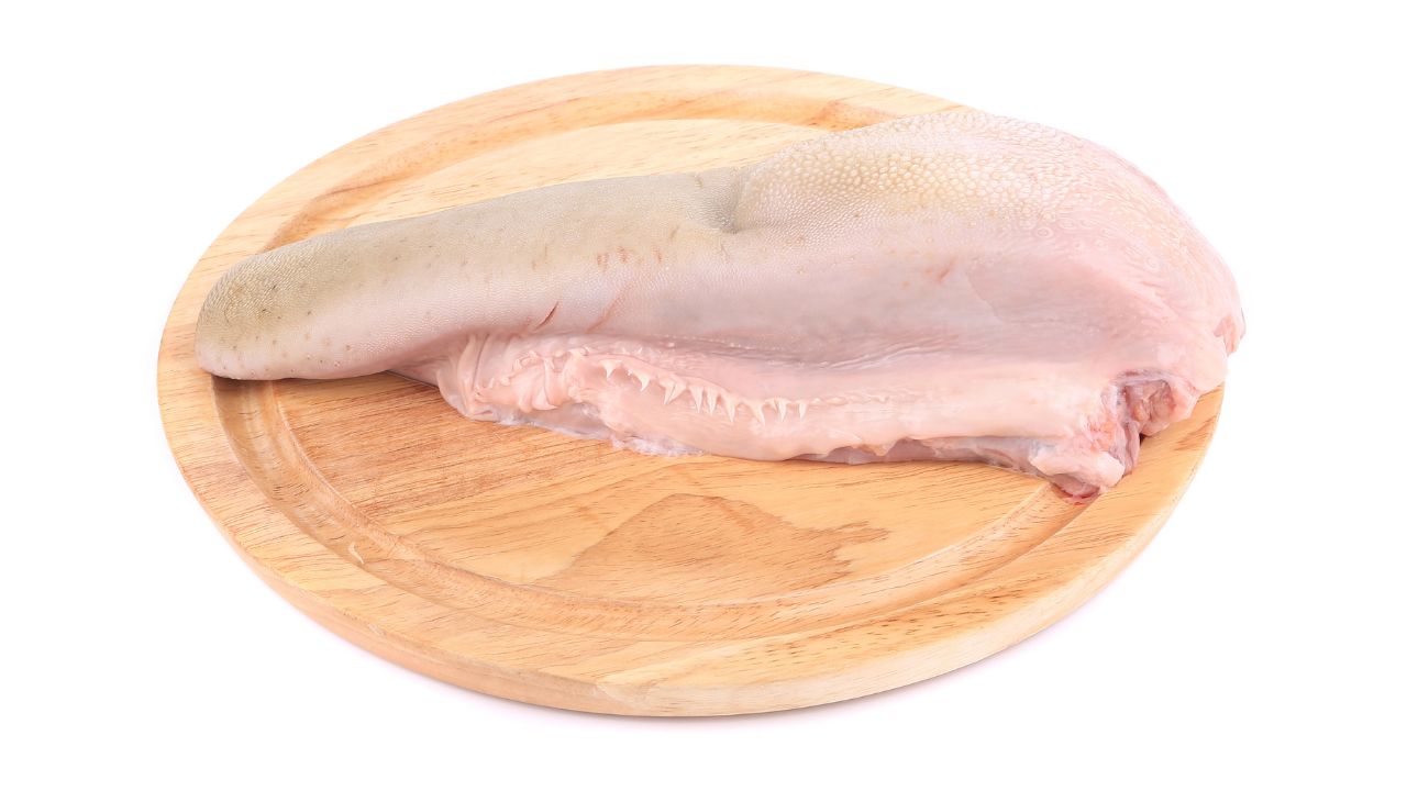 What Does Cow Tongue Taste Like? Learn The Flavor, Texture and More! 